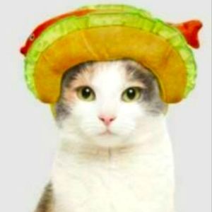 $5 Cat Fish Taco Hat Halloween Fiesta Cinco De Mayo Costume HYDE & EEK
